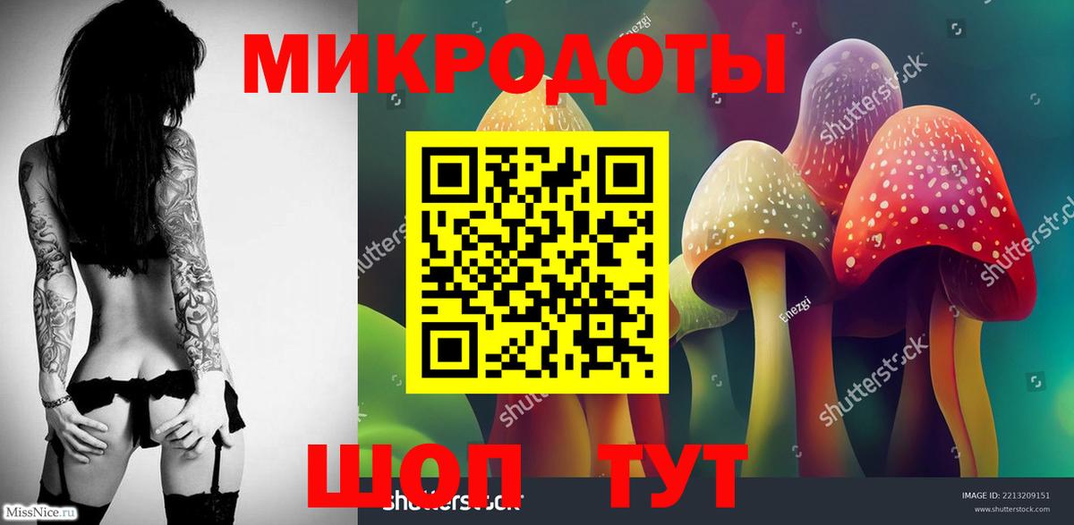 Северобайкальск  Галлюциногенные грибы мухоморы  Вход с VPN 
